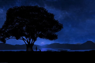 Nighttime Desktop Backgrounds HD 1920x1200