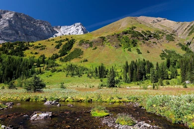 2517 Mountain HD Wallpapers