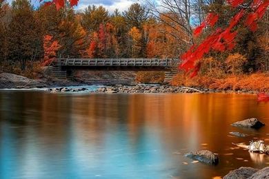 MODERN FREE IPHONE WALLPAPERS NO.5