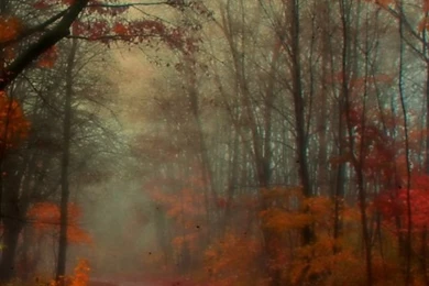 Autumn iPhone 5s Wallpapers