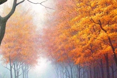 Autumn iPhone 5s Wallpapers