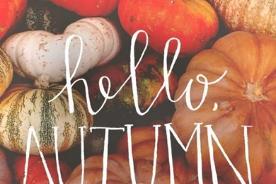 iPhone Wallpapers On Pinterest