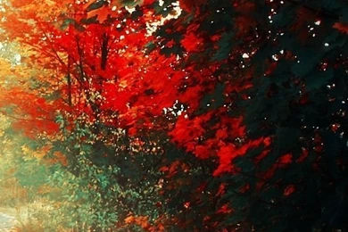 Album: iPhone 5 Wallpapers W3S (page 1 Of 2, Full Images)