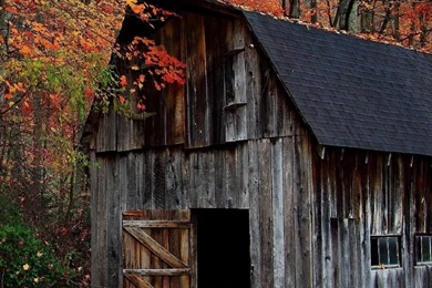 1080x1920 Free Iphone Wallpapers