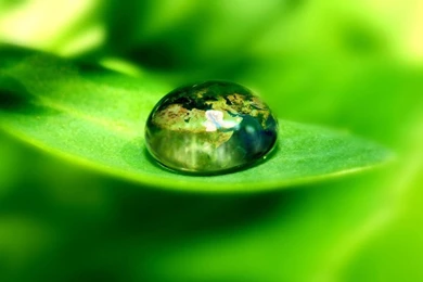 InterfaceLIFT: 1024x600 Wallpapers Sorted By Date