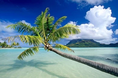 Bora Bora 1024 X 600 Wallpapers
