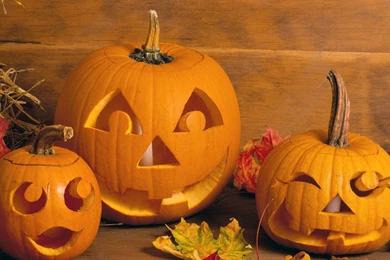 Free Wallpapers   Free Holiday Wallpapers   Halloween Episode 4 ...