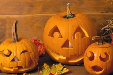 Halloween Wallpapers