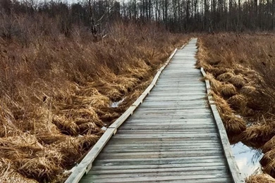 Sunrise Somewhere In Canada iPhone 5s Wallpapers Download