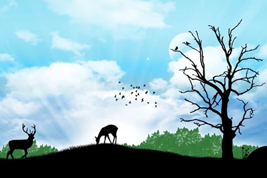 Marthy Drawing Art Wallpapers