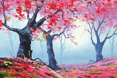 Spring Trees Drawing Wallpapers