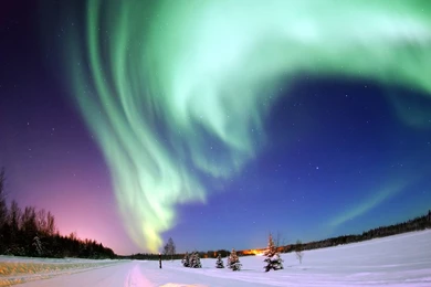 Daily Wallpaper: Northern Lights