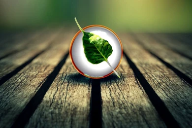 Linux Wallpaper 16.jpg