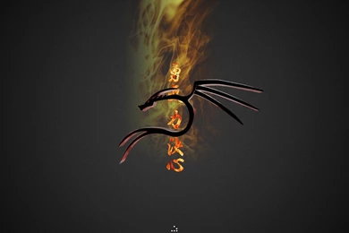 Kali Linux Wallpapers – The Linux Terminal – Linux Tutorials ...