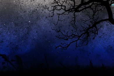 Starry Night Sky Wallpapers   Digital Art Wallpapers