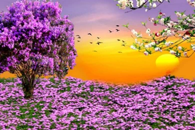 Spring Scenes Desktop Wallpapers   HD Wallpaper Backgrounds Of ...