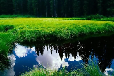 Free Laptop Wallpapers Download_hd Wallpaper_download Free Wallpapers