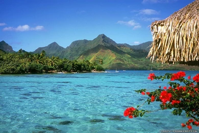 Bora Bora Wallpapers 2   Crazy Frankenstein