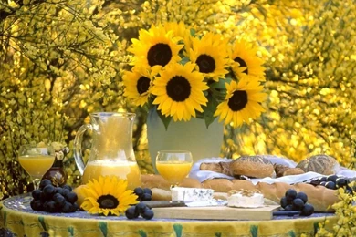 Desktop Wallpapers · Gallery · HD Notebook · Laptop Backgrounds ...