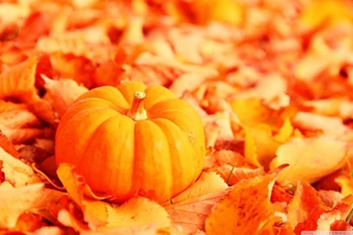 Pumpkin And Autumn Leaves HD Desktop Wallpapers : High Definition ...