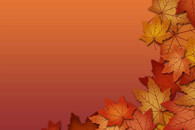 Autumn Leaves Wallpapers   Vector Wallpapers