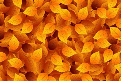 Autumn Leaves Wallpapers   Vector Wallpapers