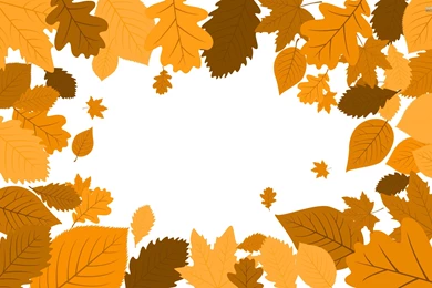 Falling Leaves Wallpapers   Vector Wallpapers