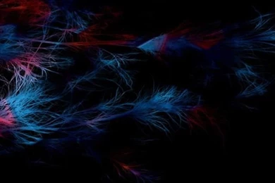 Minimalism iPhone 5 Wallpapers Hd 640x1136 Iphone 5 Wallpapers Free