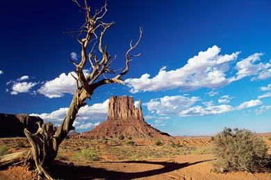 Arizona Wallpapers High Resolution