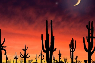 1366x768 Arizona Desktop PC And Mac Wallpapers