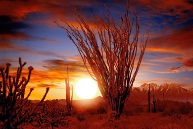 Deserts   Nature Wallpapers   Page 2   Crazy Frankenstein