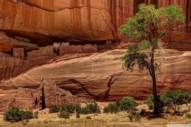 Ancient Ruins In Canyon De Chelly Arizona >> HD Wallpaper, Get It Now!