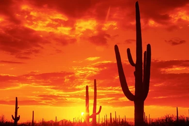 Ultra HD 4K Arizona Wallpapers HD, Desktop Backgrounds 3840x2400 ...