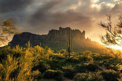Superstition Mountains, Arizona Wallpapers   Nature Wallpapers