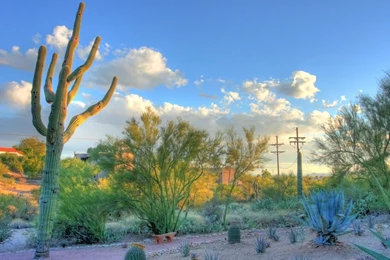 Tucson Landscape Quotes. QuotesGram