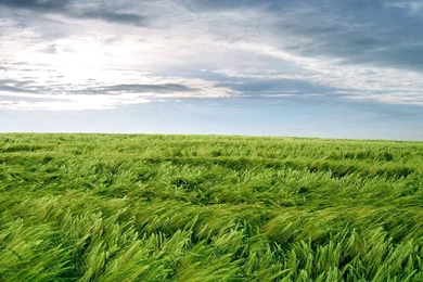 50 iPad Air Wallpapers In High Definition For Free Download