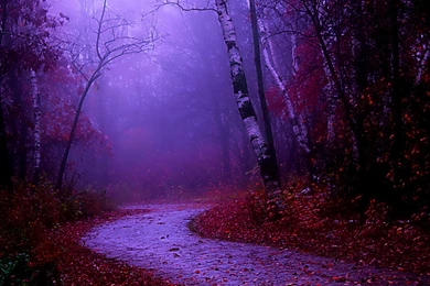 Pink iPad Air Wallpapers