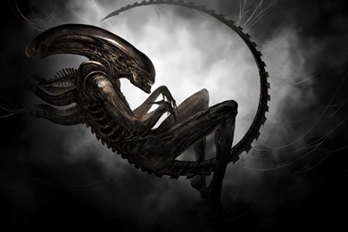 Alien Wallpapers