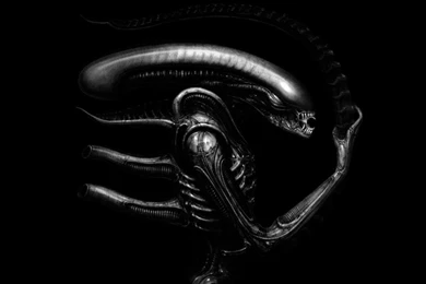 16759_aliens_xenomorph_alien.jpg
