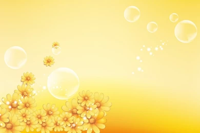 Yellow Daisies Wallpapers   Digital Art Wallpapers