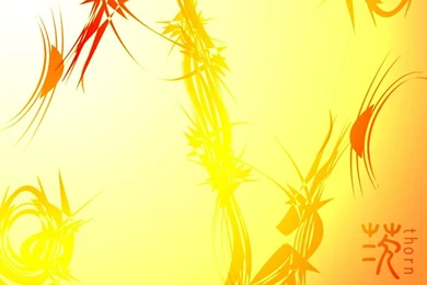 Color Abstract   Abstract Yellow Wallpapers 1024x768 NO.10 Desktop ...