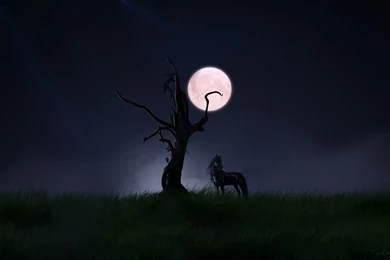 Black Night Photography Wallpaper Images 185