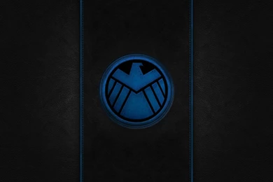 S.H.I.E.L.D. Vs Hydra   Album On Imgur