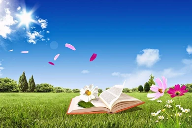 All About Insurance: June 2014