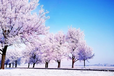 Winter Backgrounds HD Desktop Wallpapers : High Definition ...