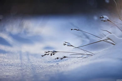 Winter Wallpapers Awesome 916 Best