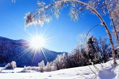 Winter Landscape Wallpapers Full HD