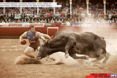 Extreme Sport Wallpapers