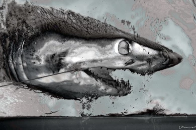 Extreme Post!! Wallpapers!   Taringa!