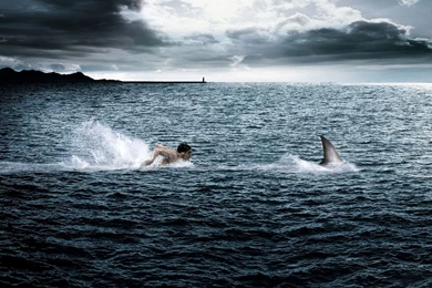 Extreme Swimming Wallpapers And Images   Wallpapers, Pictures, Photos